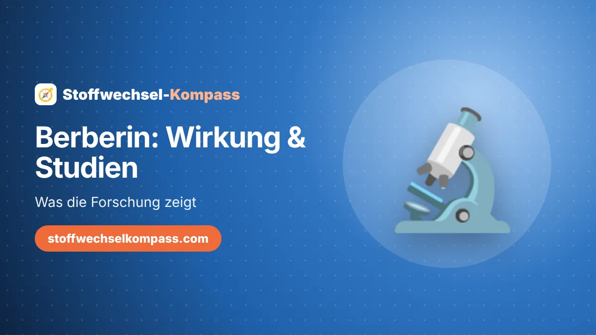 Berberin: Was die Studien zu Wirkung, Dosis und Nebenwirkungen zeigen