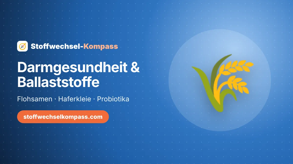 Darmgesundheit: Ballaststoffe, Flohsamen und Probiotika verständlich erklärt